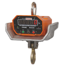 DS-315 ELECTRONIC CRANE SCALE