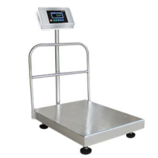 DS-451 PLATFORM SCALE