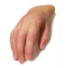 Cosmetic Hand