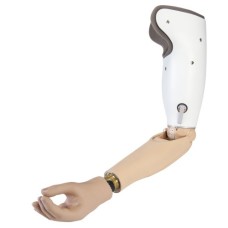 Upper Limb Prosthesis