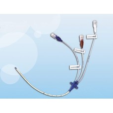 Multi-Lumen Central Venous Catheter