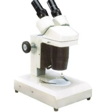 Stereo Binocular Microscope