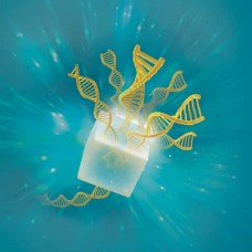 DreamTaq DNA Polymerases