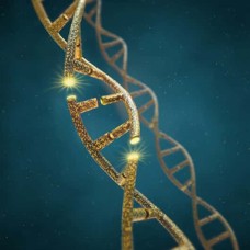 FastDigest Restriction Enzymes