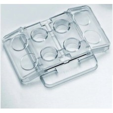 Falcon 4-well Tc-treated In Vitro Fertilization (IVF) Plate (353654)