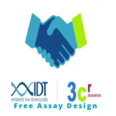 FREE ASSAY DESIGN