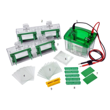 Vertical Gel Electrophoresis System