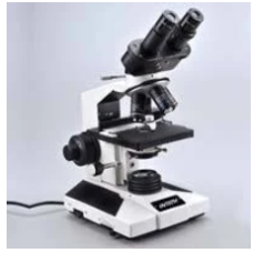 Binocular Microscopes