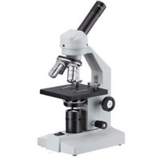 Microscope