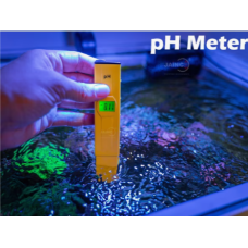 PH Meter