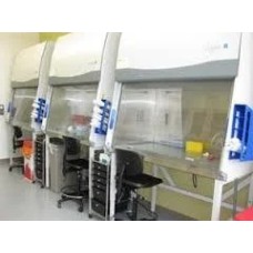 Cell Culture Facility