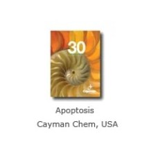 Apoptosis Cayman Chem