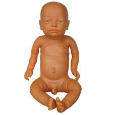 Male Newborn Baby Model