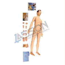 Labson Basic Combination Nursing Manikin