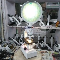 Projection Microscope