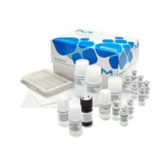 Enzyme-Linked Immunosorbent Assay (ELISA) Kits