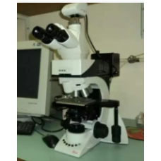 Microscope