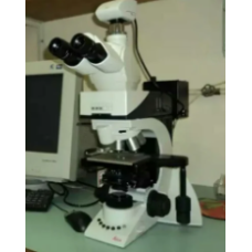 Microscope