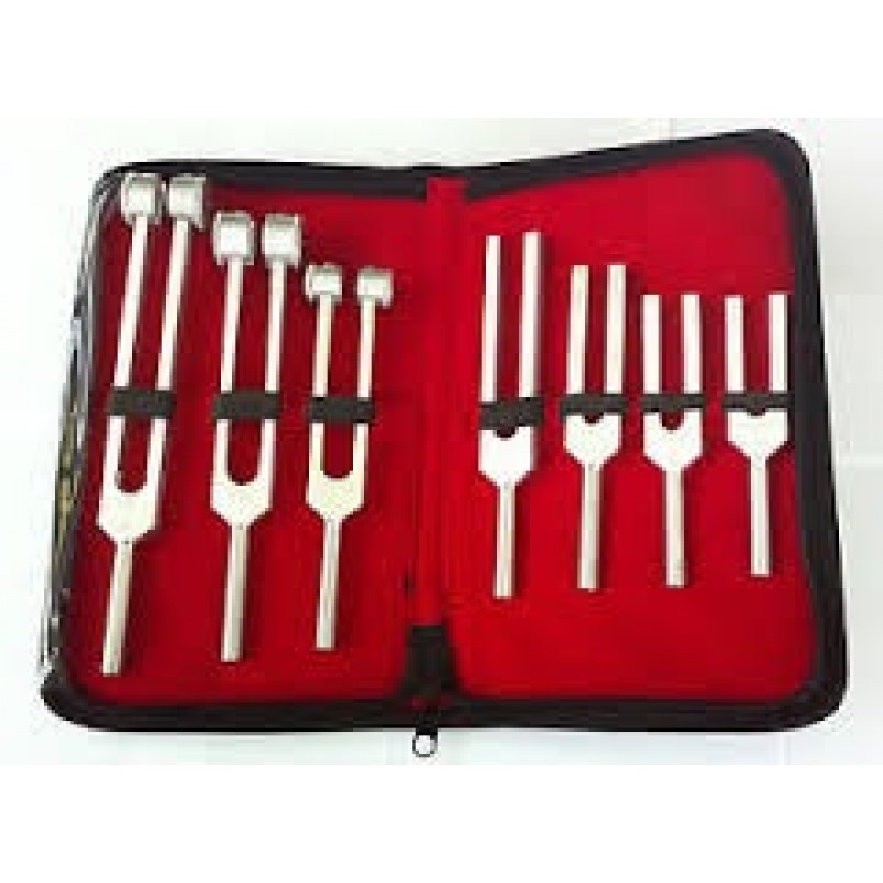 Buy Tuning Fork Set get price for lab equipment