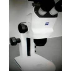 Stereo Microscope