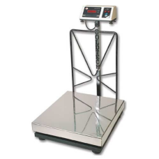 Platform Weighing Machine