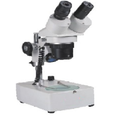 Stereo Microscope