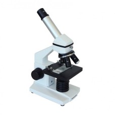 Scientific Microscope