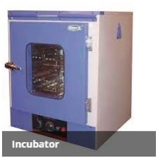 INCUBATOR