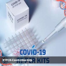 RTPCR COVID ELISS KITS