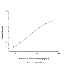 Human Galectin 1 ELISA Kit