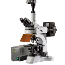 Fluorescence Microscope