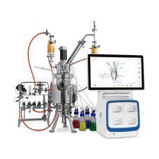 Solaris Biotechnology - Genesis With Single And Parallel Standard Sip Fermenter/Bioreactor