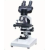 Binocular Microscope