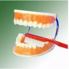 Tooth Care Model