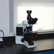 Olympus Stereo Microscopes