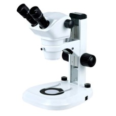 Stereo Microscope