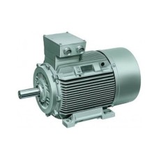 Three Phase Induction Motor