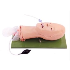 Multi Functional Airway Management Model