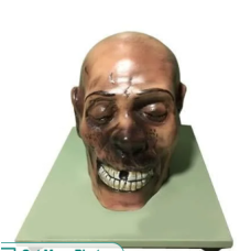 Forensic Face Model