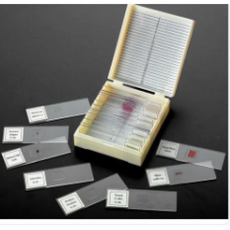 Buy Blood Slides Box get price for lab equipment