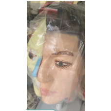 Human Lab Face Model