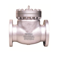 Swing Check Valve