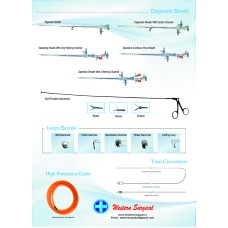 DIAGNOSTIC SHEATH