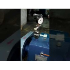 Ointment Degassing Vacuum Pump