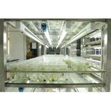 Plant Tissue Culture Rack