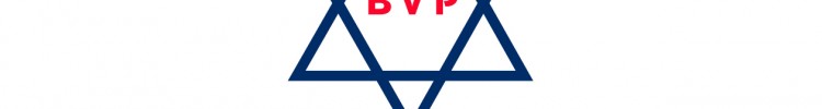 B V PUMPS INDIA PVT LTD